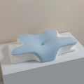 Sleeping memory pillow