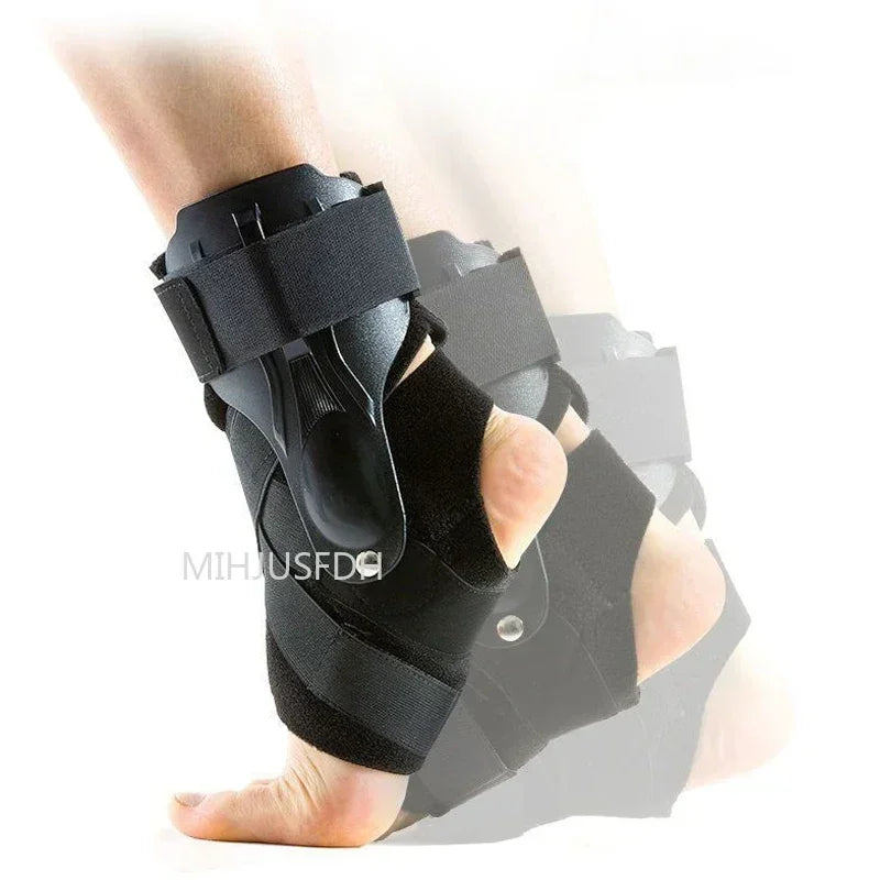 Ankle Support